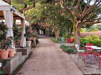 A nice visit to Camellia Hill at Jeju
