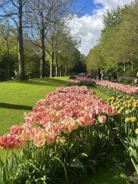 Keukenhof – A Dreamlike Stroll Through a Sea of Tulips