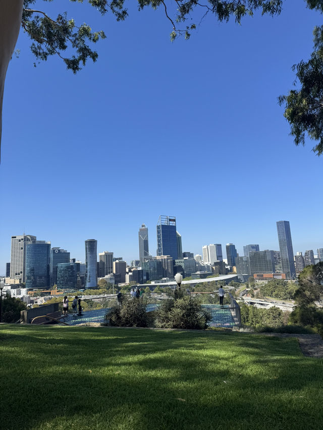 Kings Park Adventure: Nature, Views & Culture