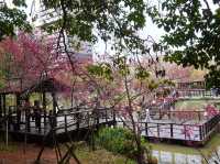 新竹公園