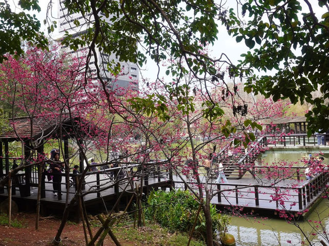 新竹公園