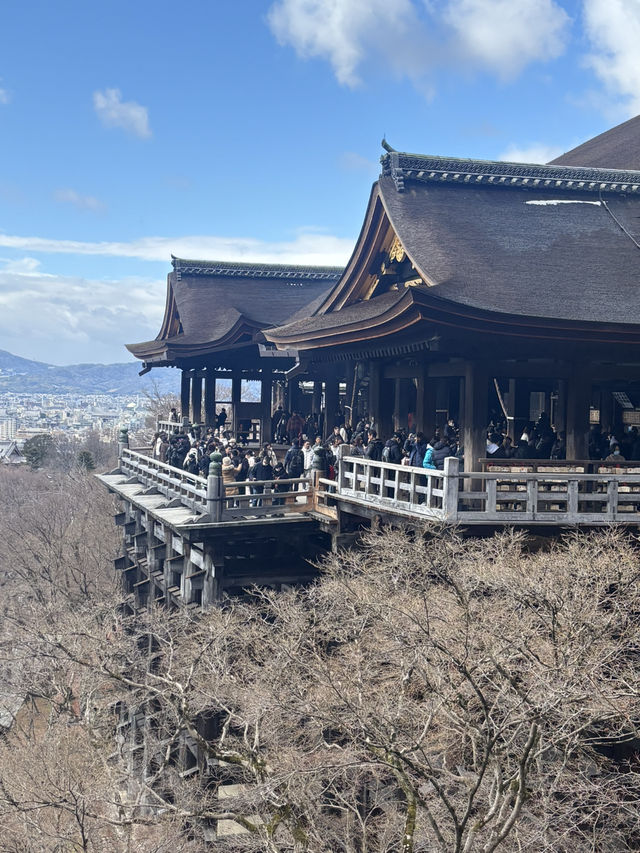 교토 초보자 여행 공략 가이드!