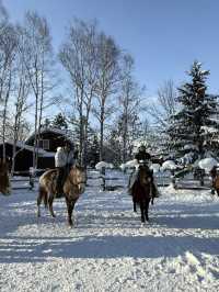 ❄️🐴 札幌雪景 × 夢幻騎馬體驗 🐴❄️