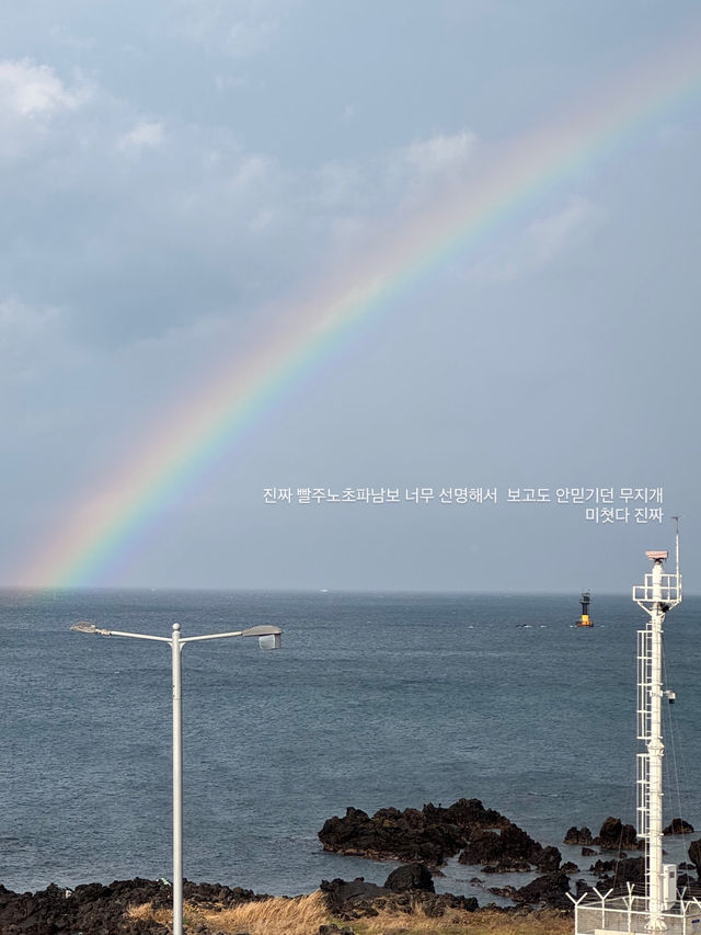 제주공항근처 꼭 들러야할 카페! 