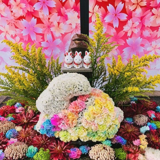 華やかなで可愛らしい花手水めぐりはいかがでしょうか？