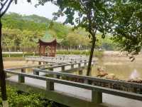 Qifeng Park: Spring's Splendor on Every Trail