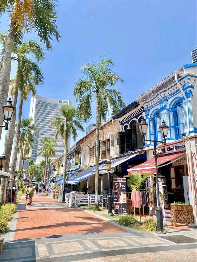 "Arab Street: A Timeless Tapestry of Heritage, Culture, and Trade"