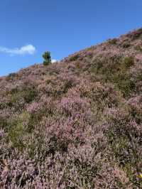 Spring time Charm in Goathland 