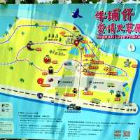 去嘉義愛情大草原尋浪漫