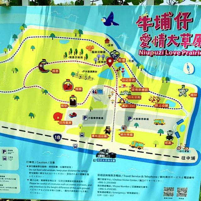 去嘉義愛情大草原尋浪漫