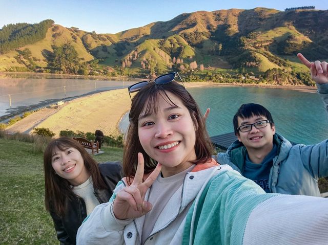 🐑🇳🇿5 Years in New Zealand — A Chapter I'll Never Forget🥹