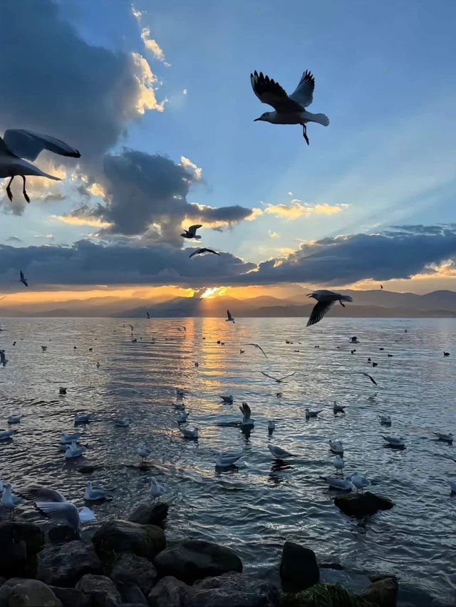 Take a scenic walk along the Erhai Lake