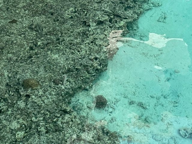 [🇳🇨メトル島] 美しいハウスリーフと充実の施設！ダブルツリー・イロ・メトルリゾート滞在記