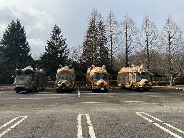 近距離接觸野生動物
