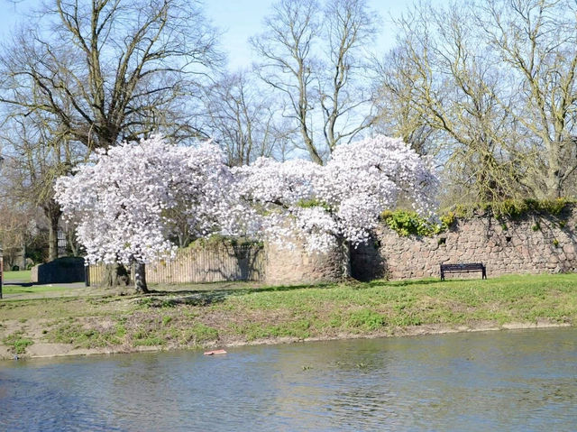 A Morning walking tour at Abbey park 