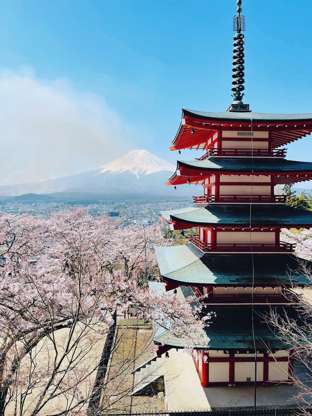 まるで日本の絵葉書✨新倉山浅間公園で絶景富士ビュー！