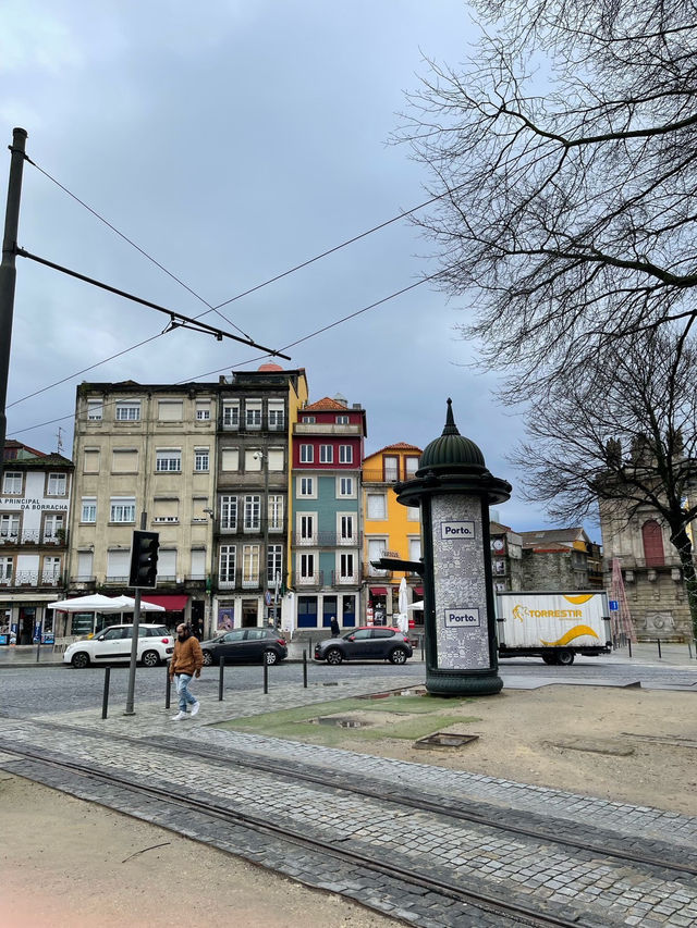 ポルトガル🇵🇹Half rabbit