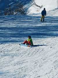 เล่นสกี ที่ Gala Yuzawa 