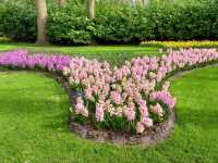 "Keukenhof: The World’s Most Beautiful Spring Garden in the Netherlands"