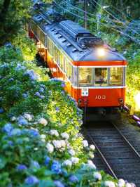6月・7月の箱根が待ち遠しい！あじさい電車がロマンチックすぎる💐