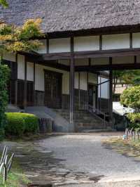 三溪園の朝イチで観光 🌿☀️ 静寂の中で歴史と自然を楽しむ