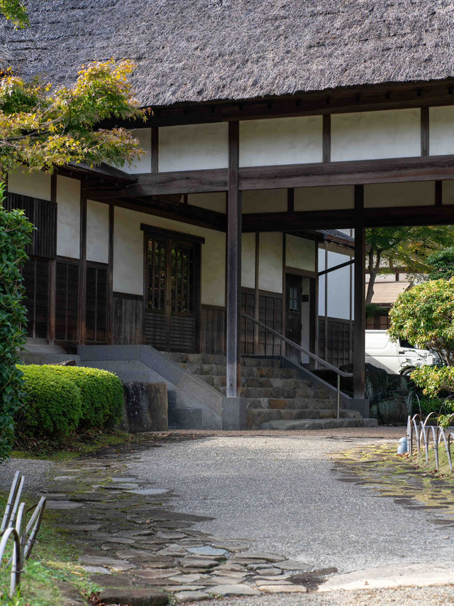 三溪園の朝イチで観光 🌿☀️ 静寂の中で歴史と自然を楽しむ