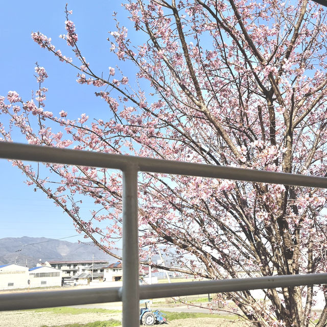 藍よしのがわトロッコ
