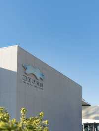 🐟四國水族館｜是不需要調濾鏡的美🐳🐬🪼
