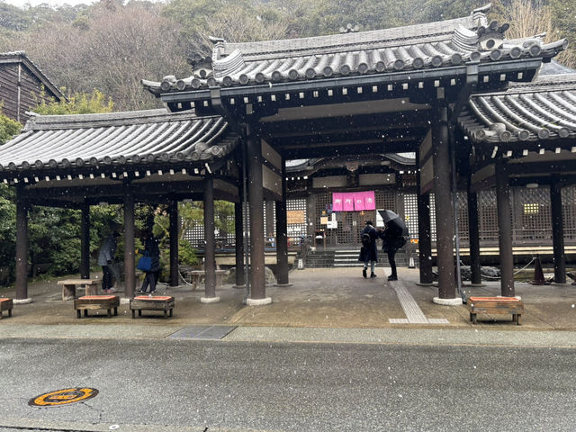 城崎温泉：靜謐的溫泉天堂 ♨️🌸
