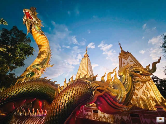 วัดพระธาตุหนองบัว