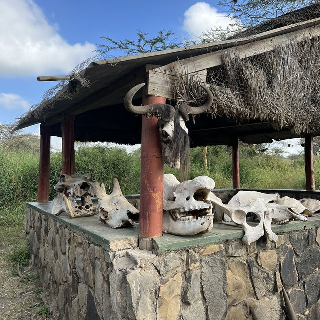 잊을 수 없는 아프리카 케냐 🇰🇪나이로비 사파리 투어🦓🐘🦏🐃