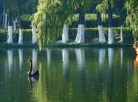Tranquil Waters and Beautiful Views