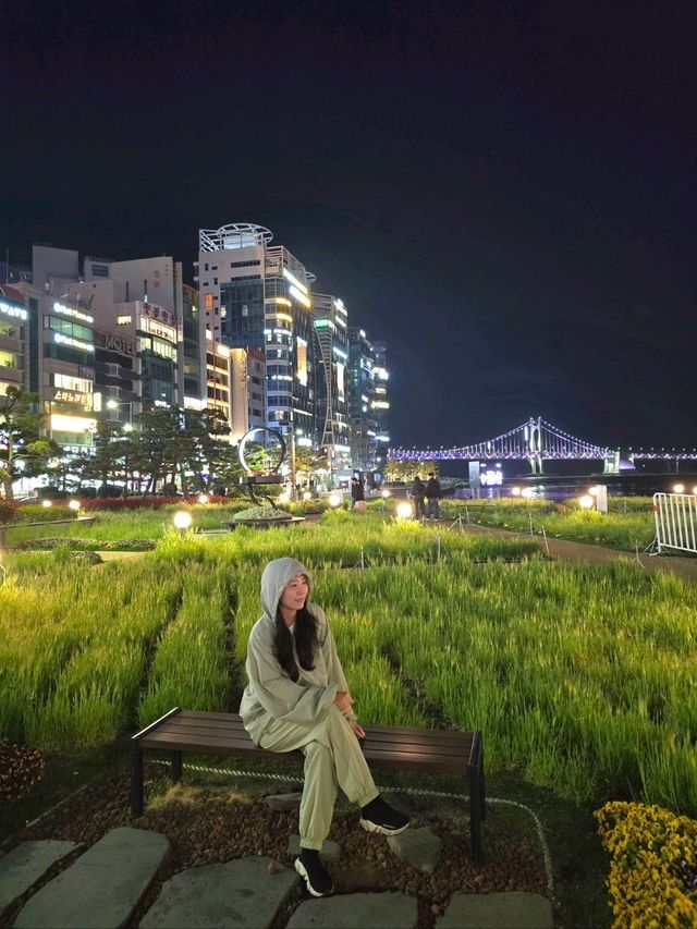 벌써 시작된 광안리 해변 청보리밭💚
