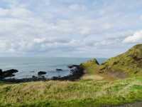 Spring Awakens at the Giant’s Causeway