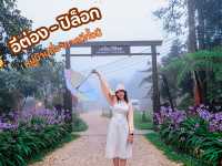 หมู่บ้านที่อากาศดีตลอดทั้งปี