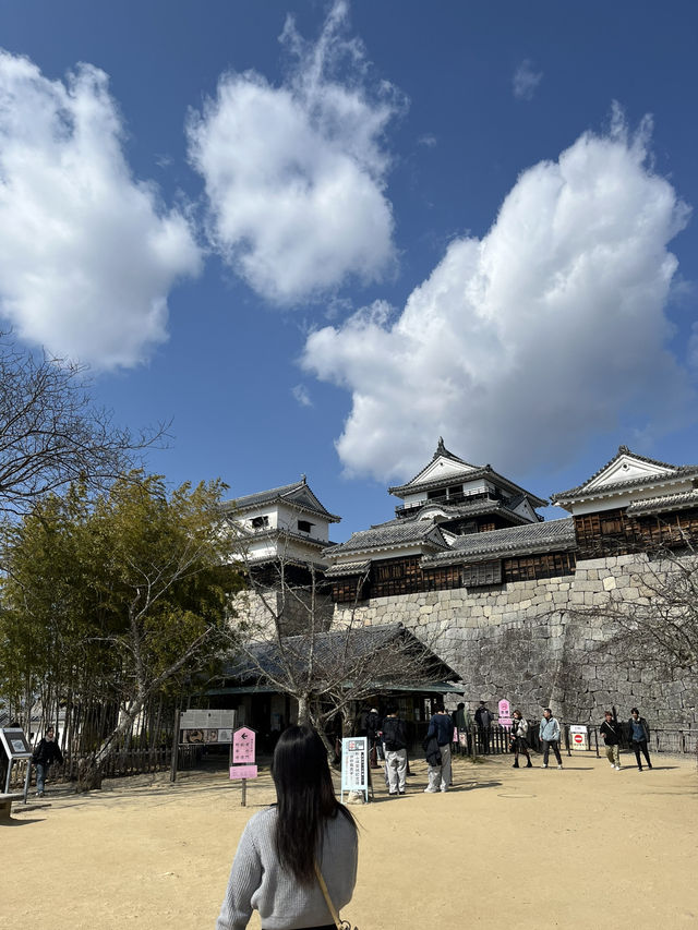 🏯 마쓰야마성, 일본의 숨은 고성 명소!