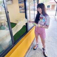 Desaru Road Trip: Exploring Nature’s Beauty with an Eco-Conscious Twist