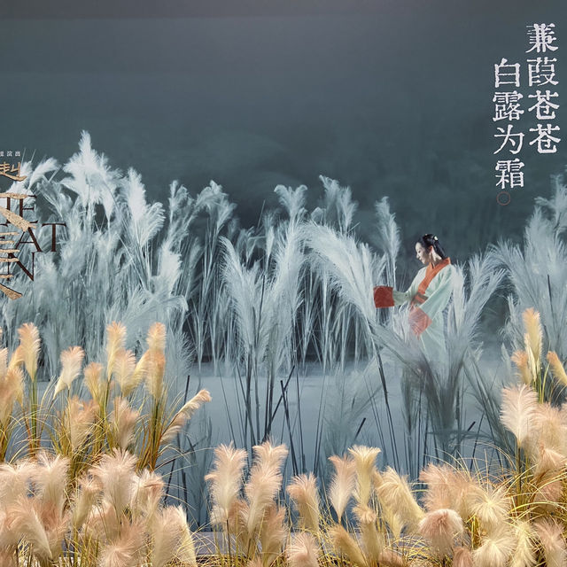 《赳赳大秦》｜不看會後悔的大型沉浸式舞台劇