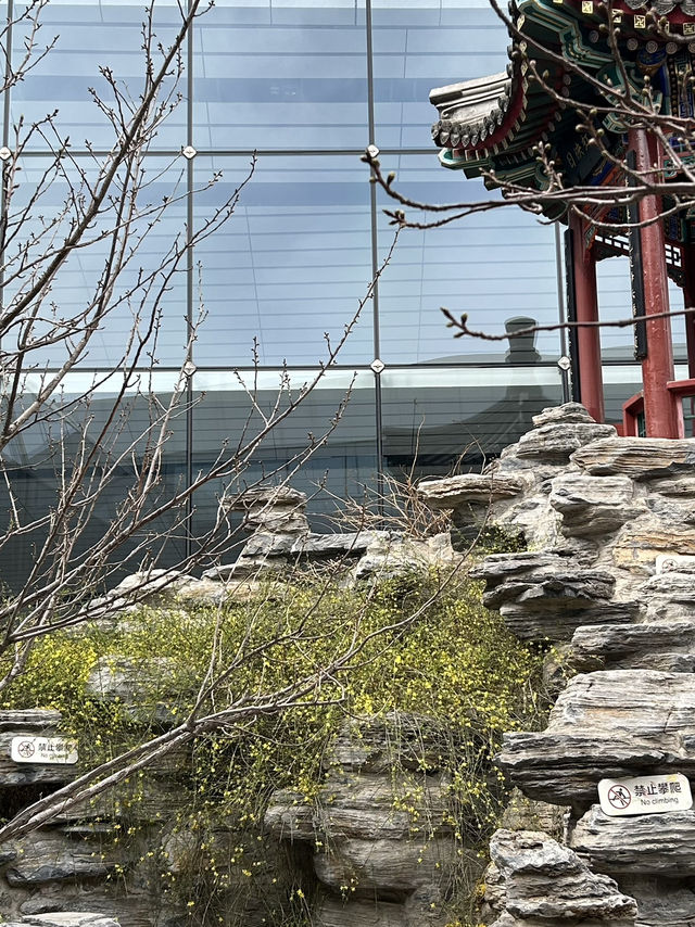 🇨🇳 Half a day Daxing International Airport Itinerary