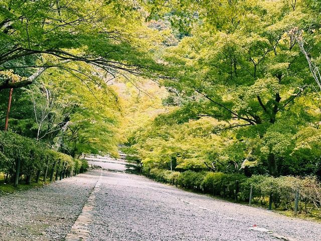 日本京都著名寺廟景點：二尊院，適合打卡拍照📸