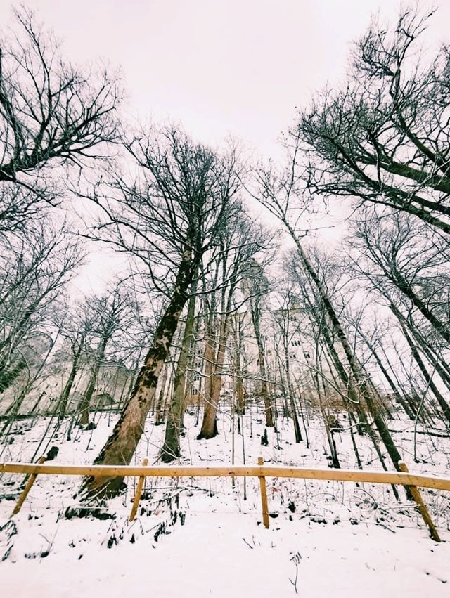 A Winter Fairytale with a Sustainable Twist – Neuschwanstein Castle