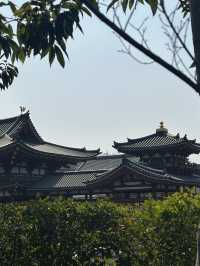 แพลนเที่ยว 1 Day "UJI (อุจิ)" เมืองแห่งชาเขียว