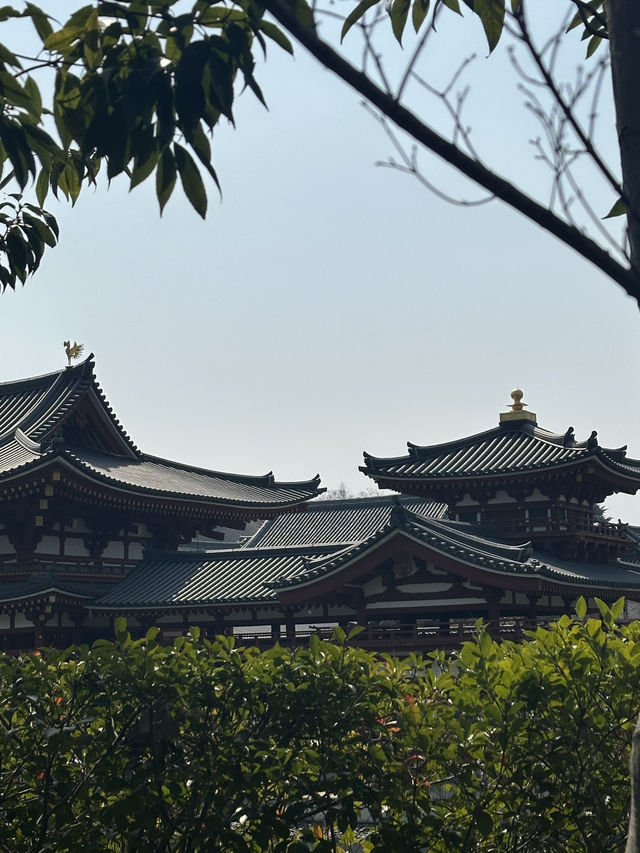 แพลนเที่ยว 1 Day "UJI (อุจิ)" เมืองแห่งชาเขียว