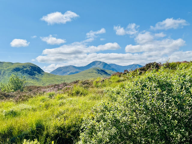 Spring Stillness at Rannoch Moor Viewpoint