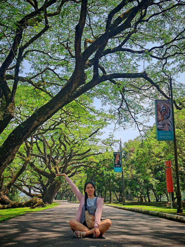 太平的慢活旅行之太平湖：一座老城的温柔绿洲