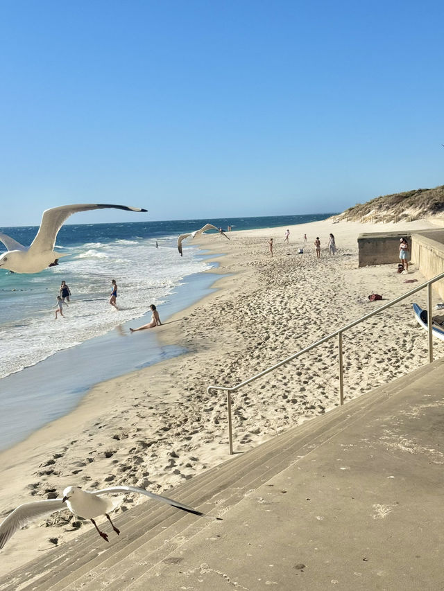 Cottesloe Beach a must-visit spot in Western Australia.