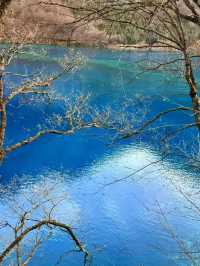 Jiuzhaigou: Where Nature Paints a Living Fairytale