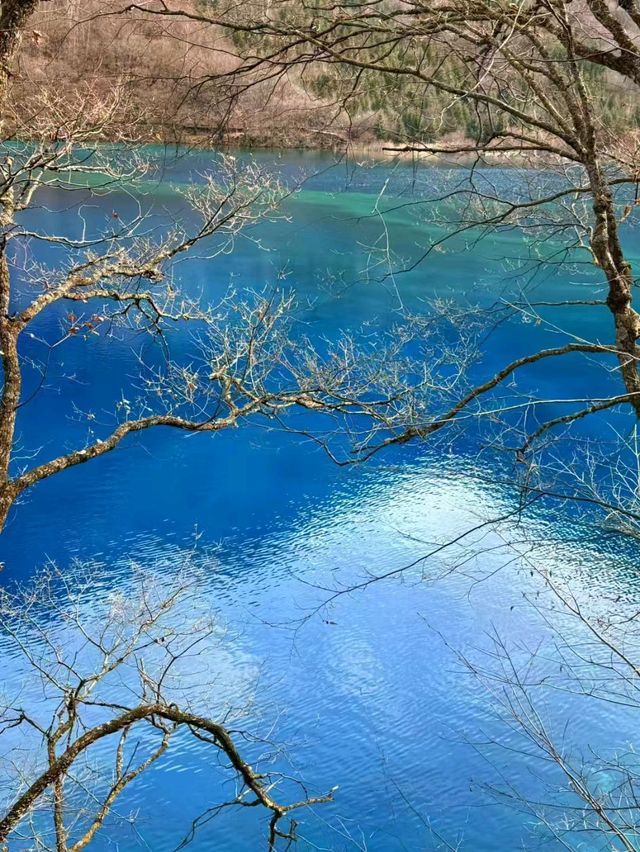Jiuzhaigou: Where Nature Paints a Living Fairytale
