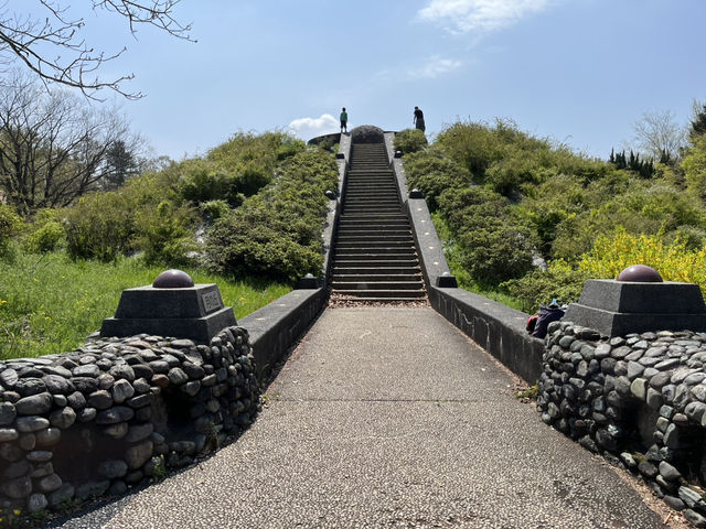 【昭和記念公園】定番の公園の桜はやはり素晴らしく感動❗️