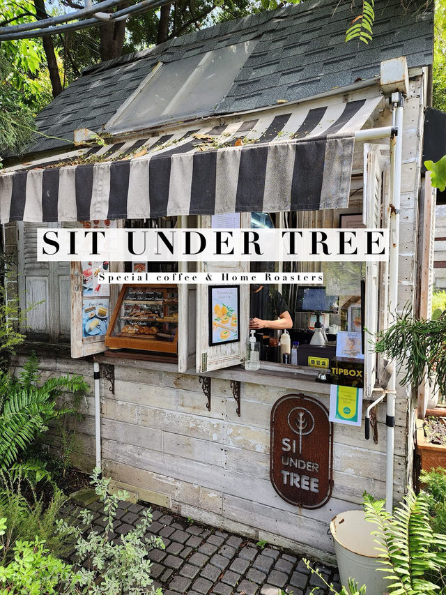 SIT UNDER TREE  Special Coffee & Home Roasters